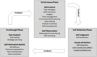 Toward self-regulated learning: effects of different types of data-driven feedback on pupils’ mathematics word problem-solving performance